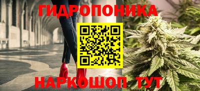 молекула духа Рузаевка